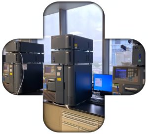 Chromatography at Bora Biologics